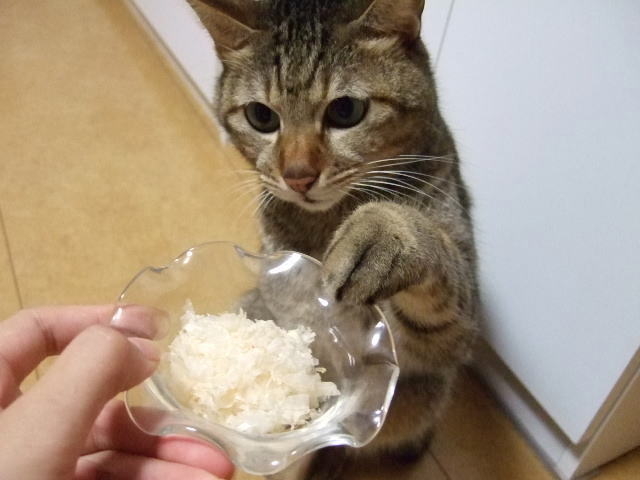 ãç«ãå©ãæãã®ç»åæ¤ç´¢çµæ